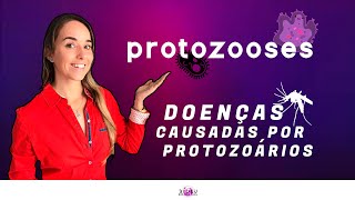 PROTOZOOSES  DOENÇAS DE PROTOZOÁRIOS  Prof Louise Medeiros [upl. by Hcaz241]