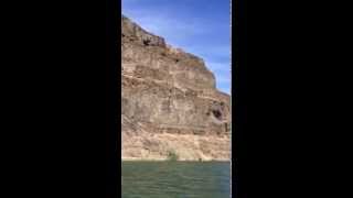 Cow falls from 900 feet from coulee cliff in the Blue Lake basin Near Soap Lake area [upl. by Kress]