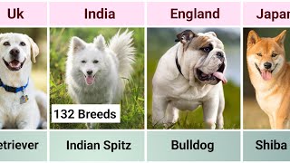 Dog Breeds From Different Countries  132 Dog breeds [upl. by Liahkim]