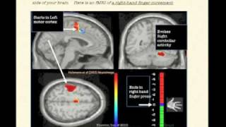 COGNITIVE NEUROSCIENCE Your Brain in 15 Minutes Part 1 of 2 [upl. by Amlus]