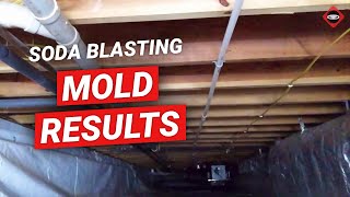 Crawl Space Mold Removal Knoxville  Soda Blasting Mold in Crawl Space [upl. by Schaper]