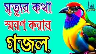 notun seragojol bangla gojol [upl. by Scheers388]