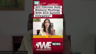 Will Pakistan Hold Bilateral Meetings With SCO Summit Delegates  SCO Summit 2024 Latest News [upl. by Anitahs]