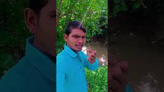 Machhali gai Pani mein chhupa funny comedy nepali love account [upl. by Fredrika]