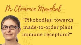 Dr Clémence Marchal  quotPikobodies towards madetoorder plant immune receptorsquot [upl. by Keary]