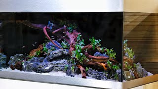 Simple Aquascape Tutorial  Oase Highline 200 Nature Aquarium [upl. by Mayda807]