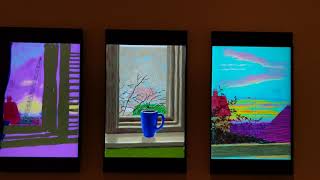 David Hockney iPad drawing videos Met Museum New York City 20180208 [upl. by Akeemaj402]