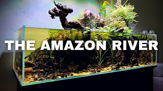 THE AMAZON INSPIRED BIG SHALLOW  Full Step By Step Aquascape Tutorial [upl. by Oludoet]