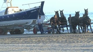 Ameland 3 3 Was geht ab  Das Wattenmeer Ballum und Hollum [upl. by Nihi545]