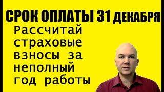 Оплата страховых взносов ИП за неполный год работы Обязательное пенсионное медицинское страхование [upl. by Gerti]