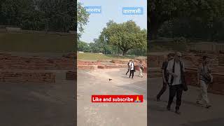 Sarnath Ashokan stambh sarnath ashoka pillar sarnath stupa park varanasi trendingshortvideo [upl. by Aneleh]