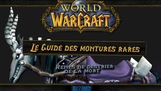 Le Guide des montures rares de World of Warcraft RÊNES DE DESTRIER DE LA MORT [upl. by Nonnahsed]