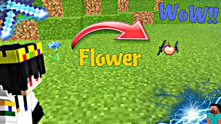 Minecraft But Flower Are OP Hindi [upl. by Yoccm]