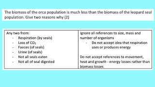 Trophic Levels in an Ecosystem 7 [upl. by Higbee]