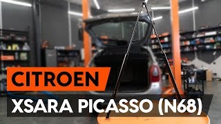 Hoe een gasveer achterklep vervangen op een CITROEN XSARA PICASSO N68 AUTODOCTUTORIAL [upl. by O'Toole]