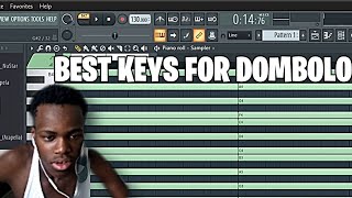 The best Chords for Dombolo in FL Studio 20 [upl. by Gurl]