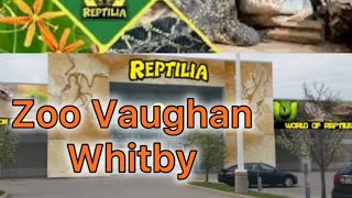 Reptilia Zoo Voughan Whitby  Canada Zoo  Animal Zoo in canada 🇨🇦 [upl. by Enytsuj215]