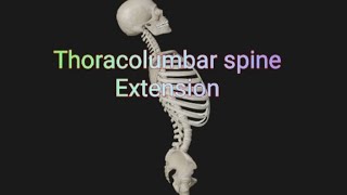 Thoracolumbar spine Extension [upl. by Yeltihw]