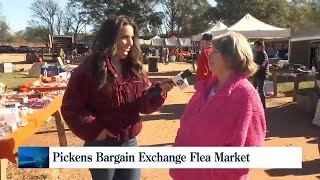 Neat finds at the Pickens Bargain Exchange Flea Market [upl. by Seuguh]