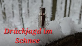 Drückjagd im Schnee [upl. by Sorvats]