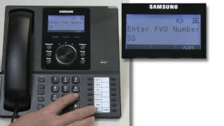 How To Use the Forward Follow Me Function on a Samsung Phone System [upl. by Tammie]