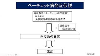 医療講演会「ベーチェット病診療の現状と展望」202405121 ベーチェット病 [upl. by Aridnere]