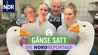 Weihnachten ist Gänsezeit  Landgasthof zwischen Tradition und neuen Ideen  Die Nordreportage  NDR [upl. by Grof]