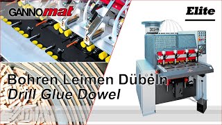 GANNOMAT Elite  Dübelbohr und Eintreibmaschine  Dowel hole boring and dowel driving machine [upl. by Codi]