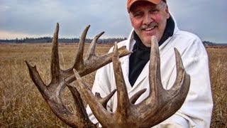 Saskatchewan Whitetail Hunt [upl. by Buffo]