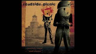 Roadside Picnic The Inspiration of Many [upl. by Alra748]