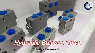 Cartridge Counter Balance Valve OVC Counterbalance Valve In Hydraulic System [upl. by Duster694]