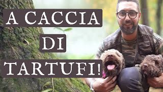 CACCIA AL TARTUFO CON LAGOTTO tartufi tartufo cucina ricette italianfood bosco trifola [upl. by Bobbie]