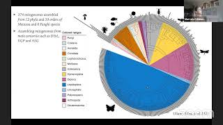 Fri 8 Sep 1300  Assembling Mitogenomes from PacBio HiFi reads using MitoHiFi [upl. by Tad]