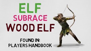 Race 311 Elf  Wood Elf DnD 5E Races [upl. by Aible]