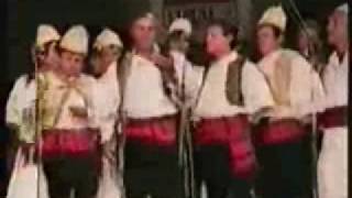 Aranit Daupi Heronjte e kombit Ansambli Folklorik Çipini 1994 [upl. by Cristy]