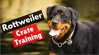 How to Crate Train Your Rottweiler puppy [upl. by Ensign]