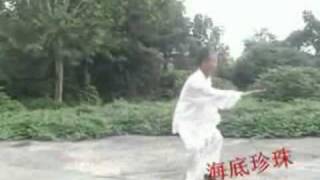 yang style tai chi 129 long form part 12 [upl. by Soelch982]