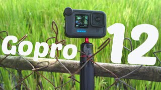 Gopro Hero 12 and Media Mod  Real time video [upl. by Pearline850]