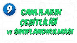 9Sınıf Biyoloji  Canlıların Çeşitliliği ve Sınıflandırılması [upl. by Borek792]