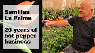 Semillas La Palma 20 Years of Hot Pepper Seeds Production and Export [upl. by Kirstyn238]