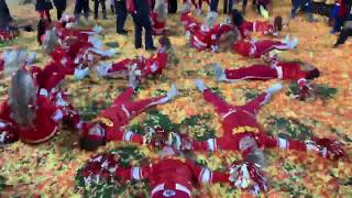 KC Chiefs cheerleaders celebrate teams AFC Championship Super Bowl bound [upl. by Airoled]