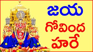 జయ గోవింద హరే  Lord Balaji Swamy  Sri Venkateswara Swamy Songs [upl. by Hobie]