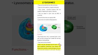 Lysosomes Structure and Function [upl. by Bettye]