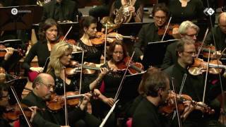 Wagner Der Ring des Nibelungen arr De Vlieger  Radio Filharmonisch Orkest  Live concert HD [upl. by Osbourn]