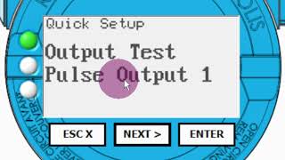 Rheonik Coriolis Mass Flow – Output Test Function Tutorial 38 [upl. by Adeehsar648]