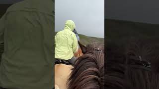 The Herd Crossing River Beds  🇮🇸 🐴 iceland horses [upl. by Enilram]