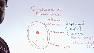 Structure of Pollen grain  Pravin Sirs Biology [upl. by Genvieve]