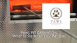 Paws Pet Cremation  What Do You Do When Your Pet Dies [upl. by Terb]