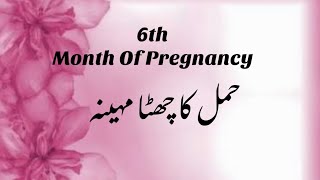 6 Months Pregnancy Complete Information  6 Months Of Pregnancy  Pregnancy Info About 6 Month [upl. by Mitchael]