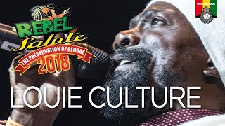 Louie Culture Live at Rebel Salute 2018 [upl. by Ahsetan]